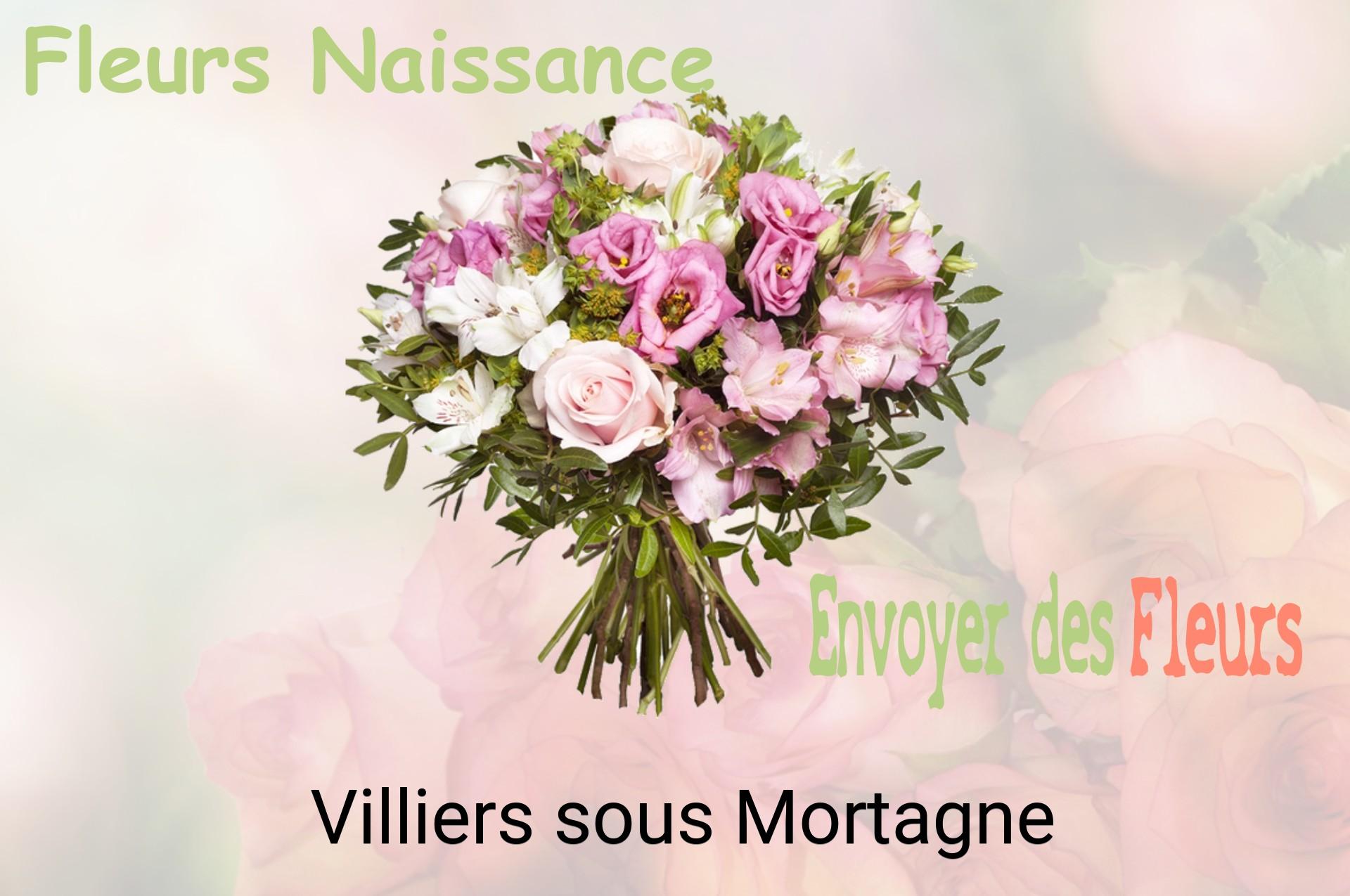 Bouquet de fleurs de naissance livré à Villiers-sous-Mortagne