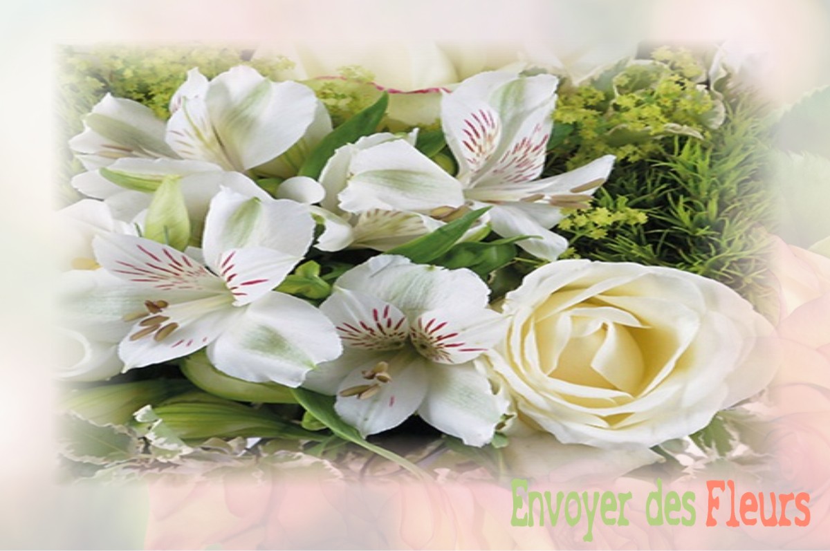 envoyer des fleurs à à VILLIERS-SOUS-MORTAGNE